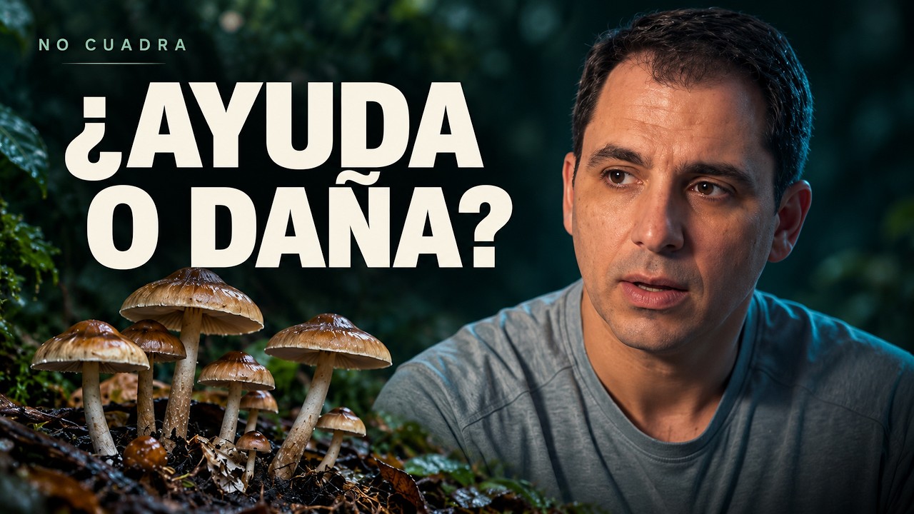 Psilocibina: ¿te ayuda o puede hacerte daño?